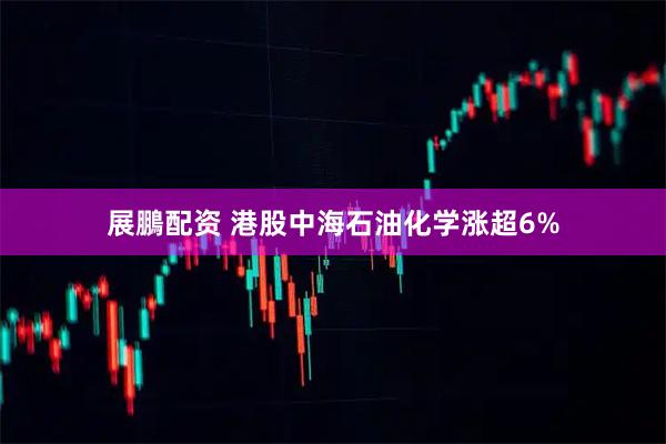 展鵬配资 港股中海石油化学涨超6%