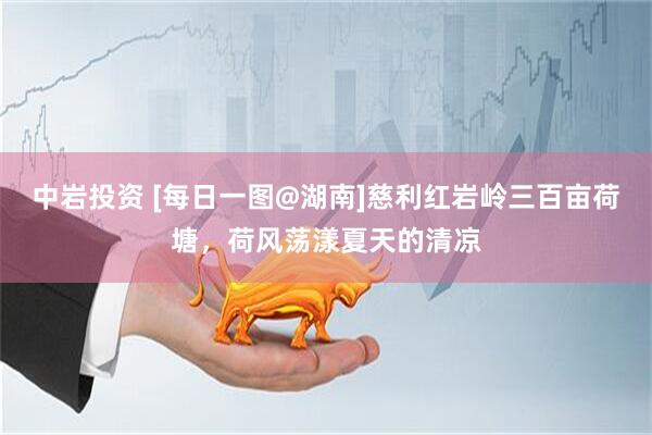中岩投资 [每日一图@湖南]慈利红岩岭三百亩荷塘，荷风荡漾夏天的清凉